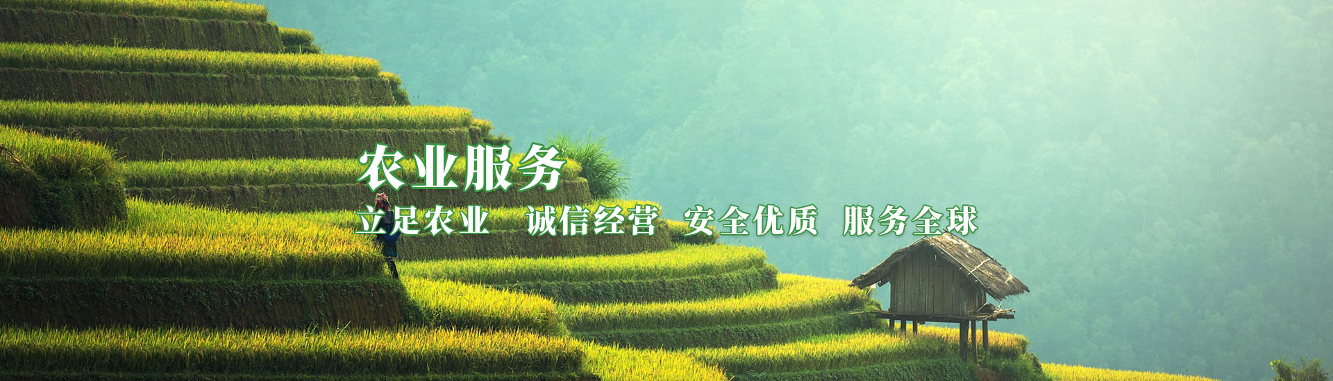 龙八- long8(国际)唯一官方网站