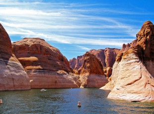 农业农村部：增强实验室生物清静治理 包管畜牧业生产清静