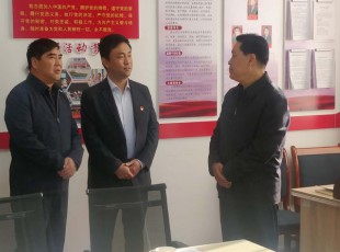 龙八国际  简  报