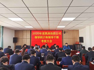 龙八国际 召开2020年度向导班子和向导干部审核大会
