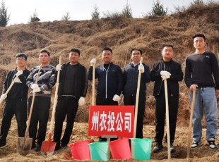 龙八国际加入2021年春季义务植树活动