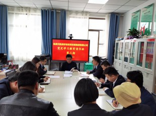 龙八国际  举行党史学习教育第三期念书班