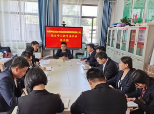 龙八国际  举行党史学习教育第五期念书班