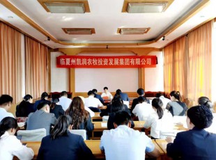 龙八国际  召开党史学习教育专题向导