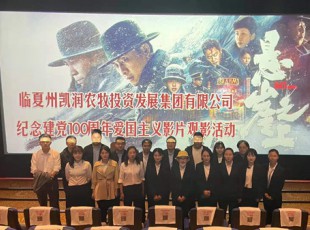 龙八国际举行“看影戏 学党史 悟初心 勤劳进”纪念建党100周年观影活动
