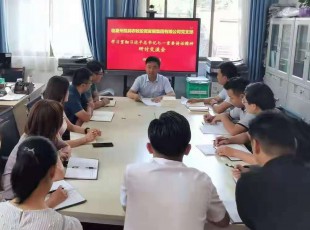 龙八国际 召开学习贯彻习近平总书记七一主要讲话精神 钻研交流会