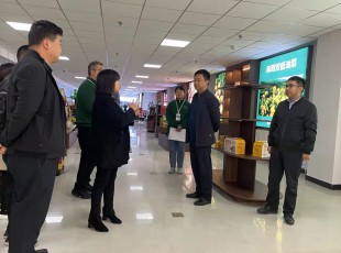 州农投集团在水发农投通道物流公司、、河州实力公司调研