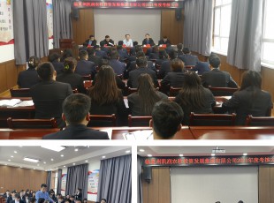 龙八国际召开2021年度向导班子和向导 干部审核大会
